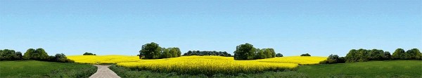 Faller 180504 - Modellhintergrund Ostholstein, 2700 x 500 mm