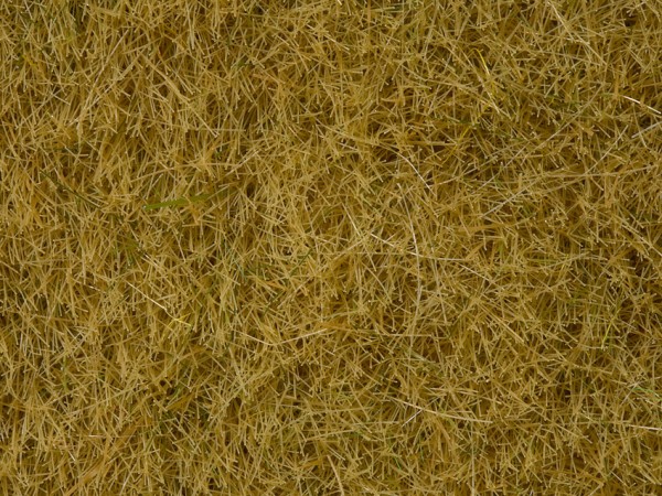 Noch 07091 - Wildgras beige, 6 mm, 100 g Dose