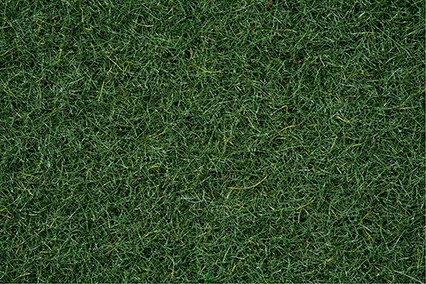 Noch 08320 - Streugras Moorboden, 2,5 mm, 20 g, Beutel