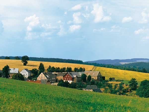 Auhagen 42508 - H0/TT - Hintergrund Wolkenstein/ Erzgebirge, 330 x 47 cm