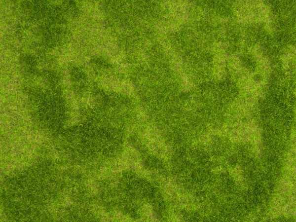 Noch 07471 - 2x Natur+ "Riedwiese", je 25 x 25 cm