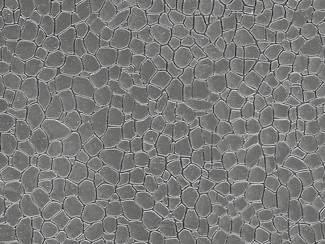 Auhagen 52427 - H0/TT - Natursteinplatte grau, 10 x 20 cm