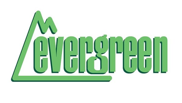Evergreen 509002 - Set mit verschiedenen Kleinteilen aus Polystyrol