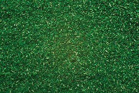 Noch 08470 - Streumaterial dunkelgrün, 42 g