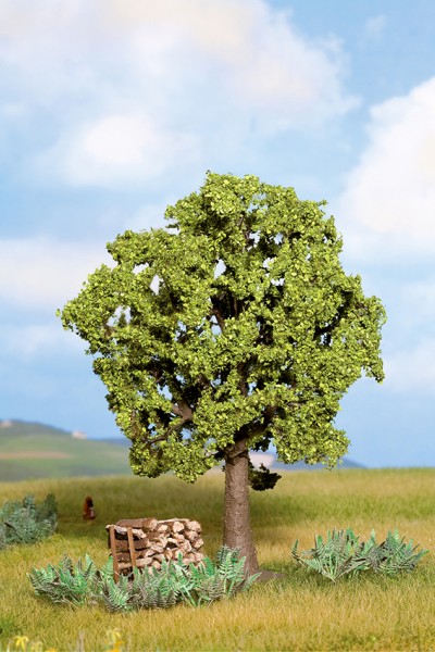 Noch 21690 - Hainbuche, 13 cm