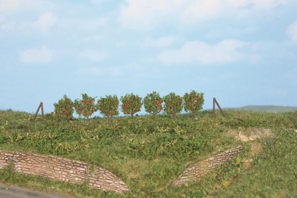 Heki 19135 - H0/TT/N - 36x Spalierobst, ca. 2,5 cm incl. Spannpfosten