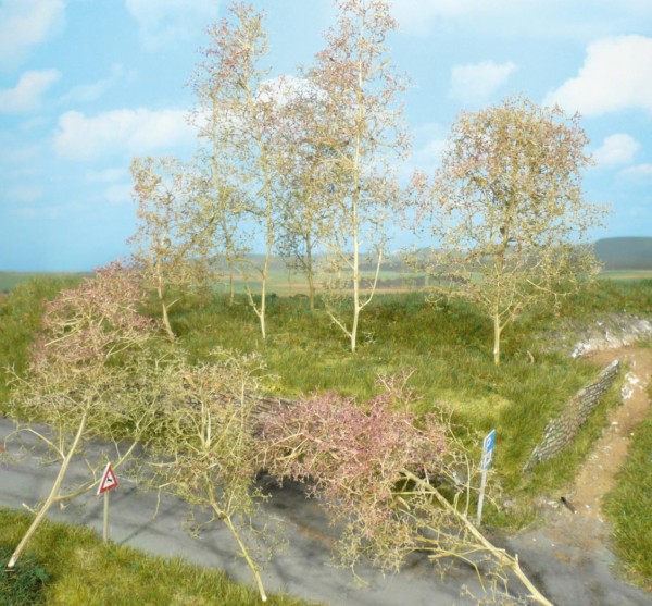 Heki 1370 - 35 Bäume Seemoos natur
