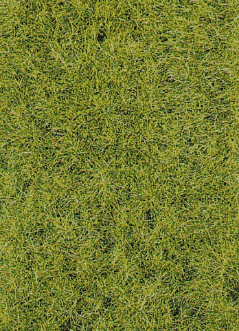 Heki 3376 - Grasfaser Frühling, 50 g, 10 mm