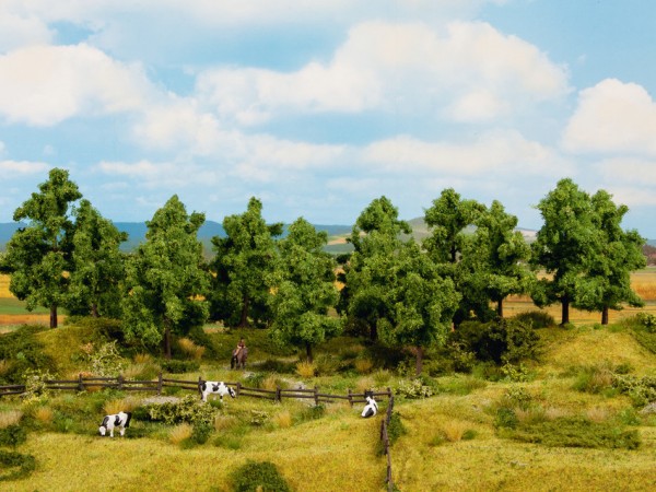 Noch 24602 - 6x Laubbäume, 14 -18 cm