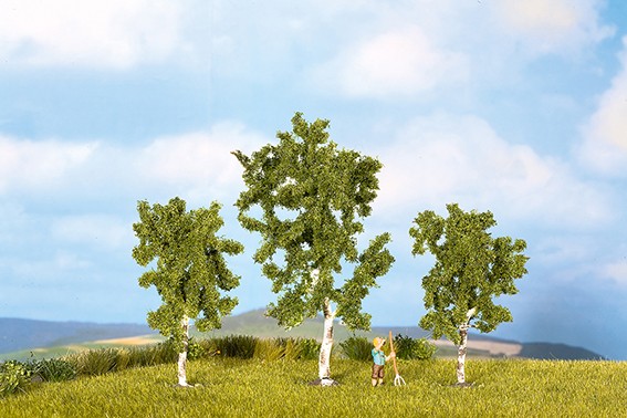 Noch 25120 - 3x Birken, 8 - 10 cm