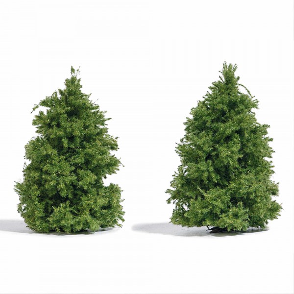 Busch 6122 - 2 Lärchen, 60 mm