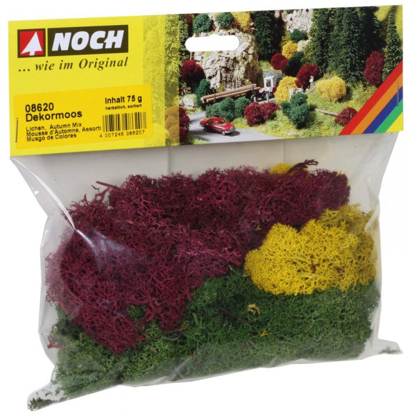 Noch 08620 - Dekormoos herbstlich sortiert, 75 g