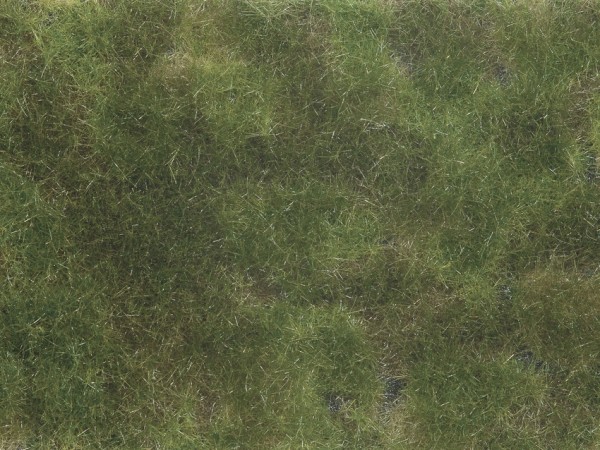 Noch 07251 - Bodendecker-Foliage olivgrün, 12 x 18 cm