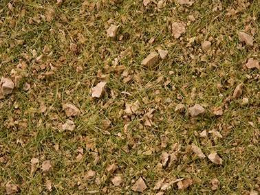 Noch 07075 - Master-Grasmischung Almwiese, 50 g Beutel