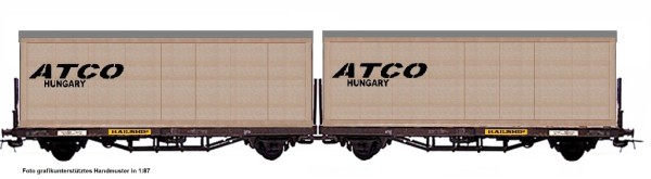 NPE NW 52202 - TT - Flachwagen-Doppeleinheit der Bauart Laas 1 mit ATCO Holzkiste der DR, Ep. IV