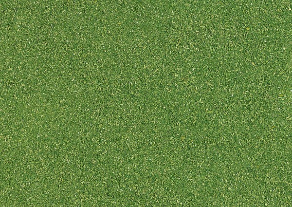 Busch 7042 - Micro-Streupulver maigrün, 40g
