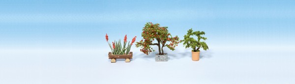 Noch 14020 - H0 - 3x Zierpflanzen in Blumenkübeln