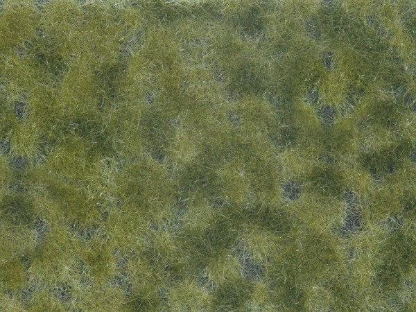 Noch 07250 - Bodendecker-Foliage mittelgrün, 12 x 18 cm