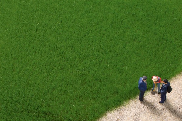 Auhagen 75615 - Grasfasern dunkelgrün 4,5 mm, 50g